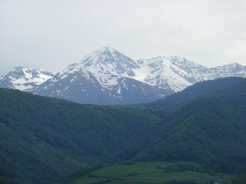 DSC00648