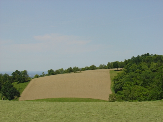 DSC02809