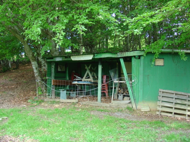 DSC02831