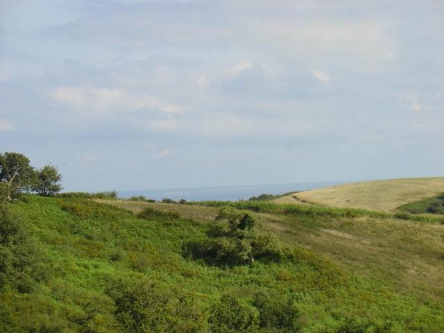 DSC03557